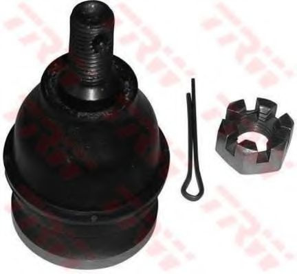 Pivot HYUNDAI AMICA / ATOZ (MX) (1998 - 2016) TRW JBJ7501