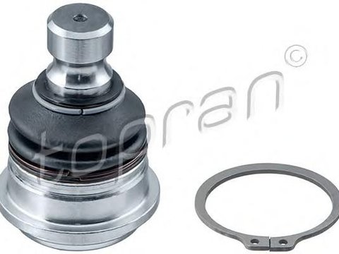 Pivot HYUNDAI TRAJET (FO), HYUNDAI SANTA F I (SM), HYUNDAI SANTA F II (CM) - TOPRAN 820 490