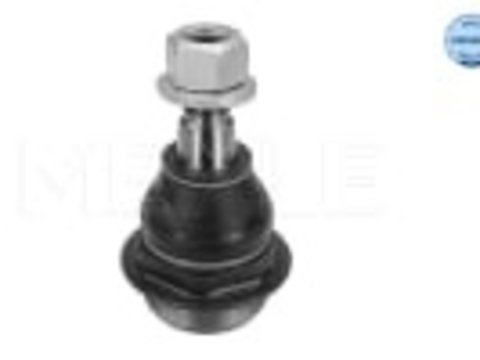 Pivot inferior fata stanga/dreapta (178mm) NISSAN NV400 OPEL MOVANO B RENAULT MASTER III 2.3D 02.10- MEYLE 16160100019 / TRW JBJ817