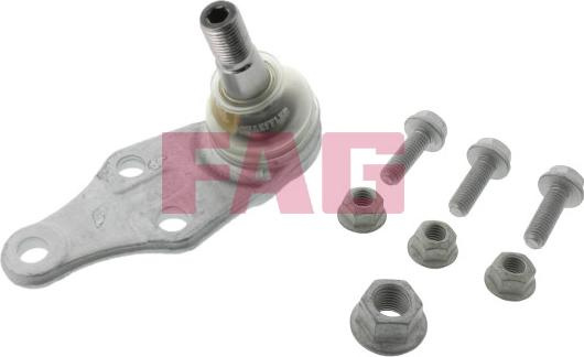 Pivot LAND ROVER FREELANDER (L314), Crossover, 02.1998 - 10.2006 FAG 825 0065 10