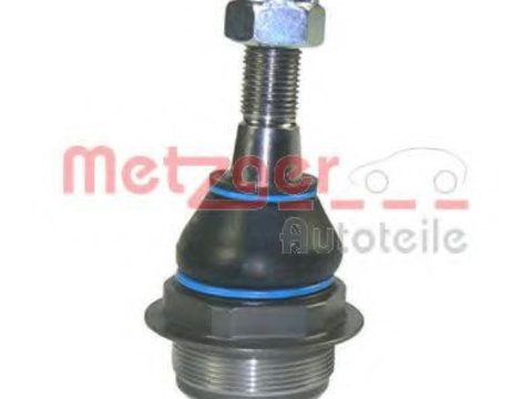 Pivot RENAULT MASTER III platou / sasiu (EV, HV, UV) (2010 - 2016) MTR 12162459