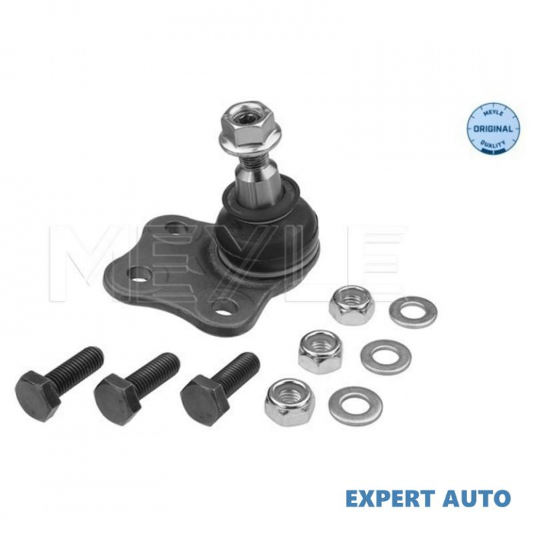 Pivot Renault MEGANE CC (EZ0/1_) 2010-2016 #2 16160100014