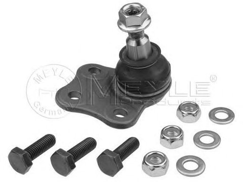 Pivot RENAULT MEGANE III cupe DZ0 1 MEYLE 16160100014