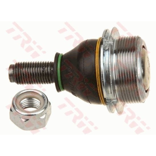 Pivot rotula Trw JBJ125, parte montare : Punte fat