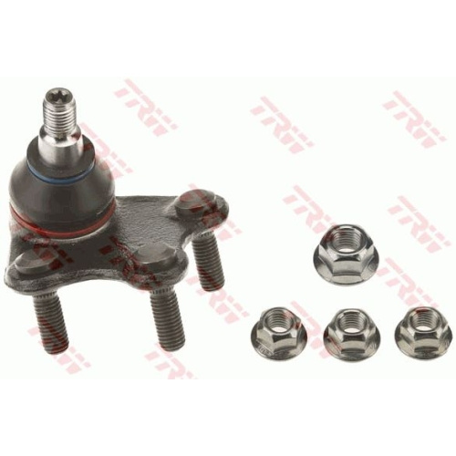 Pivot rotula Trw JBJ815, parte montare : Punte fat