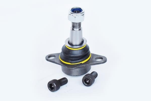 Pivot Suspensie Premiere Fdr.794 72305