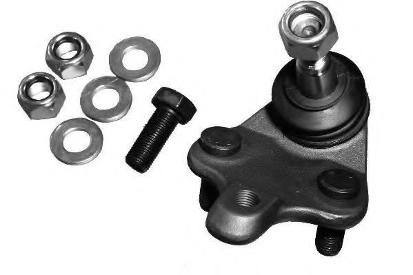 Pivot TOYOTA AVENSIS limuzina (T25) (2003 - 2008) QWP WSS1746K