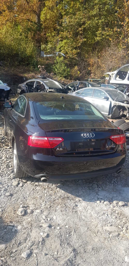 Plafon Audi A5 2.7tdi 2009 Coupe