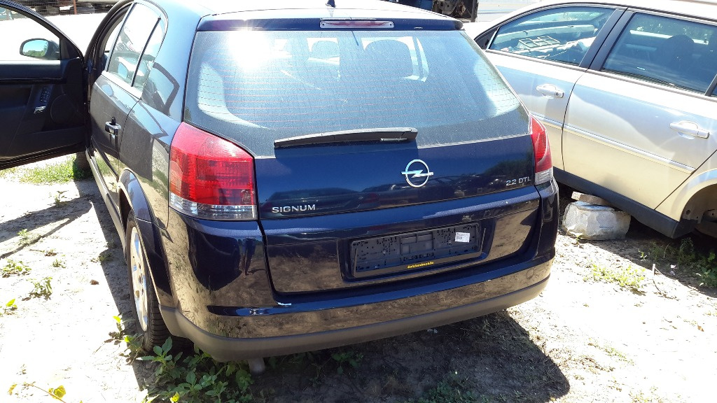 Plafoniera Opel Signum 2003 hatchback 2.