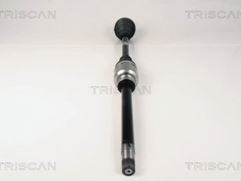 Planetara 8540 10519 TRISCAN pentru CitroEn Jumper CitroEn Relay Peugeot Boxer Fiat Ducato