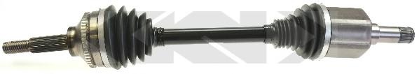 Planetara FORD TRANSIT bus, FORD TRANSIT caroserie, FORD TRANSIT platou / sasiu - LBRO 305582