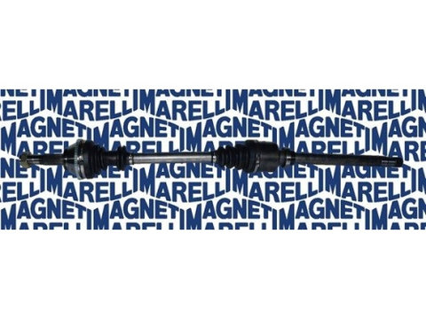 Planetara MAGNETI MARELLI 302004190038