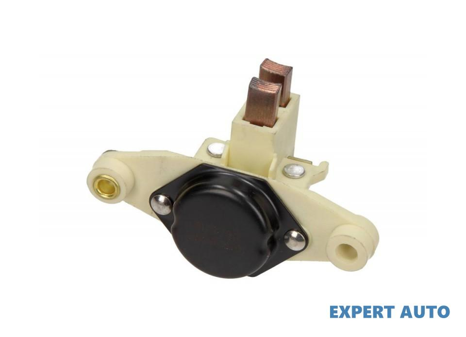 Platou carbuni alternator Volkswagen VW PASSAT Variant (33) 1973-1981 #2 0003894469