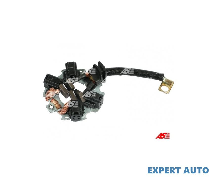 Platou carbuni electromotor Renault SCENIC III (JZ0/1_) 2009-2016 #8 232029