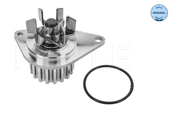 Pompa apa # CitroEn Zx 1991 1992 1993 1994 1995 1996 1997 # 11 13 220 0003 # MEYLE