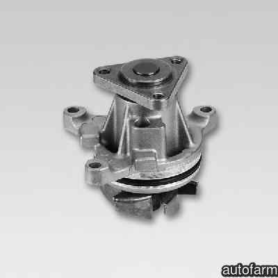 Pompa apa LAND ROVER FREELANDER 2 FA HEPU P251