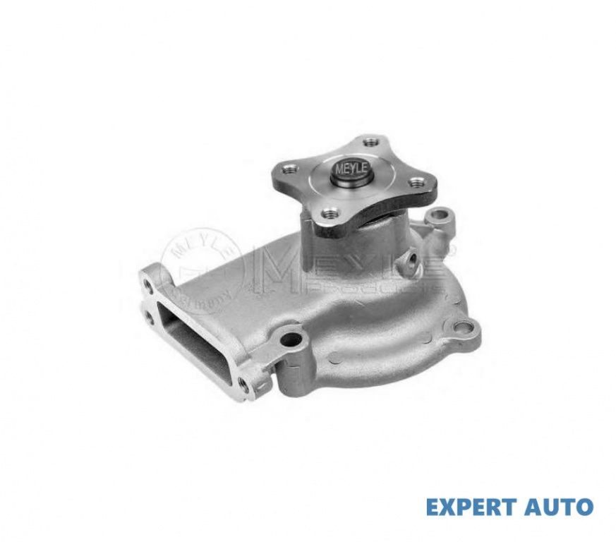 Pompa apa motor Nissan PRIMERA Break (WP