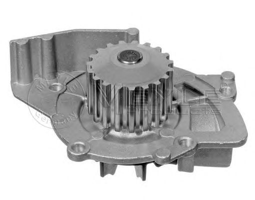 Pompa apa PEUGEOT BOXER caroserie (244) - Cod intern: W20117137 - LIVRARE DIN STOC in 24 ore!!!