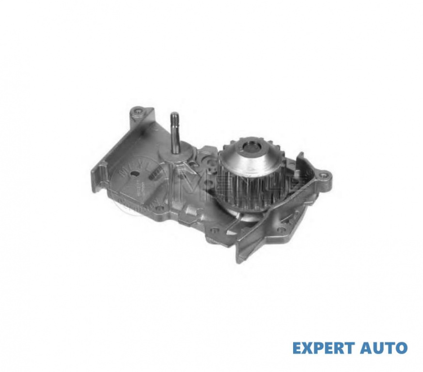 Pompa apa Renault MEGANE Scenic (JA0/1_) 1996-2001