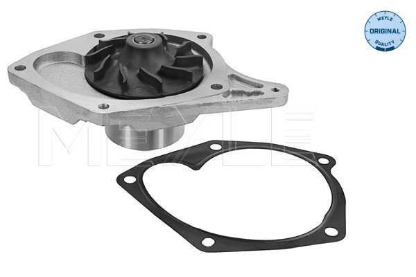 Pompa apa # Renault Thalia 2001 2002 2003 2004 2005 2006 2007 2008 2009 # 16 13 220 0015 # MEYLE