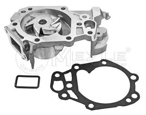 Pompa apa RENAULT TWINGO II (CN0_) (2007 - 2016) MEYLE 16-13 220 0021