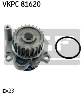 Pompa apa SEAT LEON (1M1) (1999 - 2006) SKF VKPC 81620