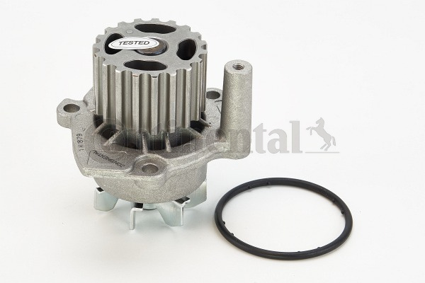 Pompa apa (WP6001 CONTITECH) AUDI,FORD,SEAT,SKODA,VW