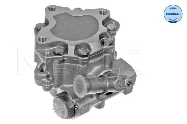 Pompa hidraulica, sistem de directie MEYLE 114 631 0006 pentru VW PASSAT B5.5 Variant (3B6) 2000-2005