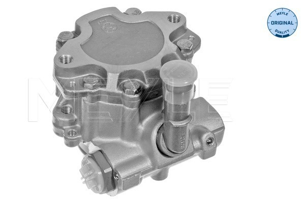 Pompa hidraulica, sistem de directie MEYLE 114 631 0003 pentru AUDI A3 (8L1) 1996-2003