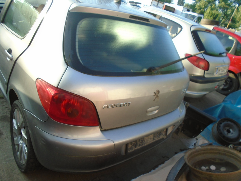 Pompa motorina rezervor Peugeot 307 2004