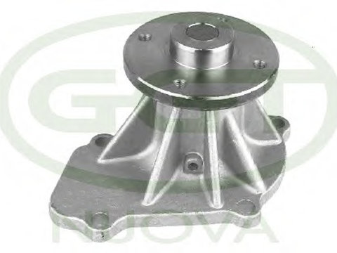 Pompa PA12124 GGT pentru Nissan Mistral Nissan Terrano Nissan Axxess Nissan Liberty Nissan Prairie Ford Maverick Nissan Navara Nissan Pick