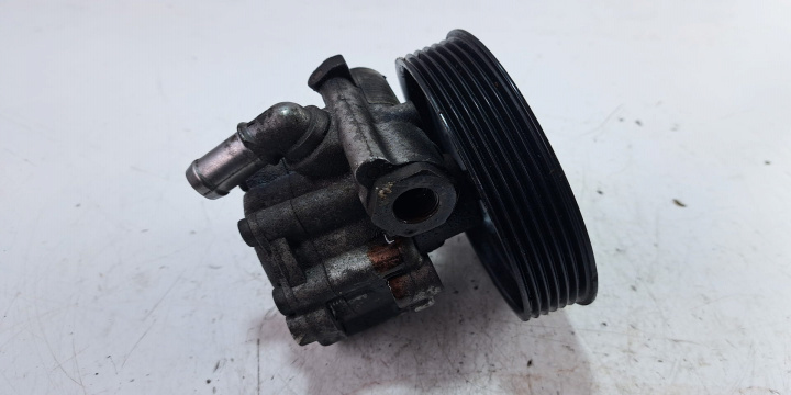 Pompa servo Cod: 491105510R 7613955617 D