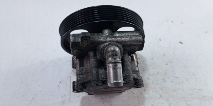 Pompa servo Cod: 491105510R 7613955617 D