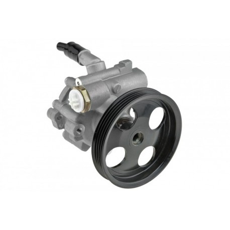 Pompa Servodirectie  pentru RENAULT THALIA 1.2 13-, DACIA LOGAN 1.2 12-, SANDERO 1.2 12- 491101451R