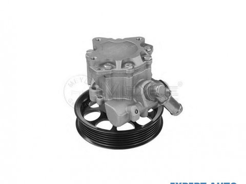 Pompa servodirectie Saab 9-5 combi (YS3E) 1998-2009 #2 041300831