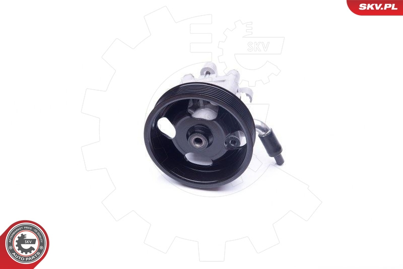 Pompa servodirectiepentru NISSAN Murano II 3.5 4x4 49110-1AA0A