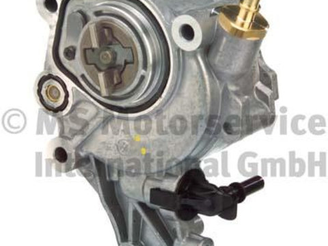 Pompa vacuum,sistem de franare (702551010 PIE) Citroen,FIAT,LANCIA,LAND ROVER,MITSUBISHI,PEUGEOT