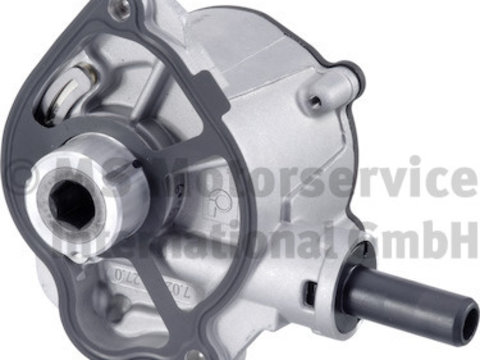 Pompa vacuum,sistem de franare (702551270 PIERBURG) BMW,FREIGHTLINER,JEEP,MERCEDES-BENZ,MERCEDES-BENZ (FJDA)