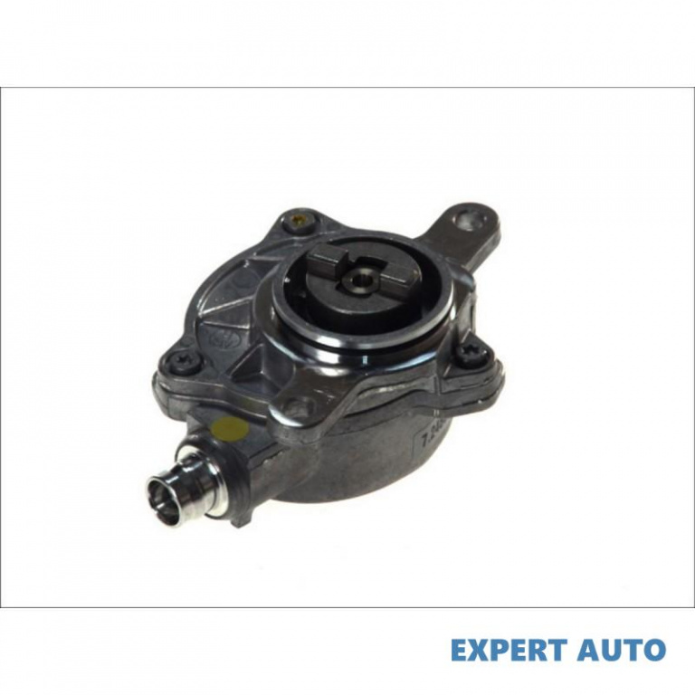 Pompa vacuum,sistem de franare Renault VEL SATIS (