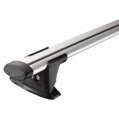 Portbagaj plafon AUDI A6 Avant (4F5, C6) - RAMEDER 119963
