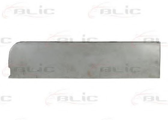 Portiera spate FORD TRANSIT caroserie (2006 - 2016) BLIC 6013-00-2509724P