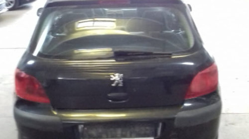 Punte spate Peugeot 307 2002 Hatchback 1