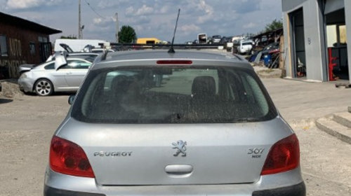 Punte spate Peugeot 307 2003 hatchback 2