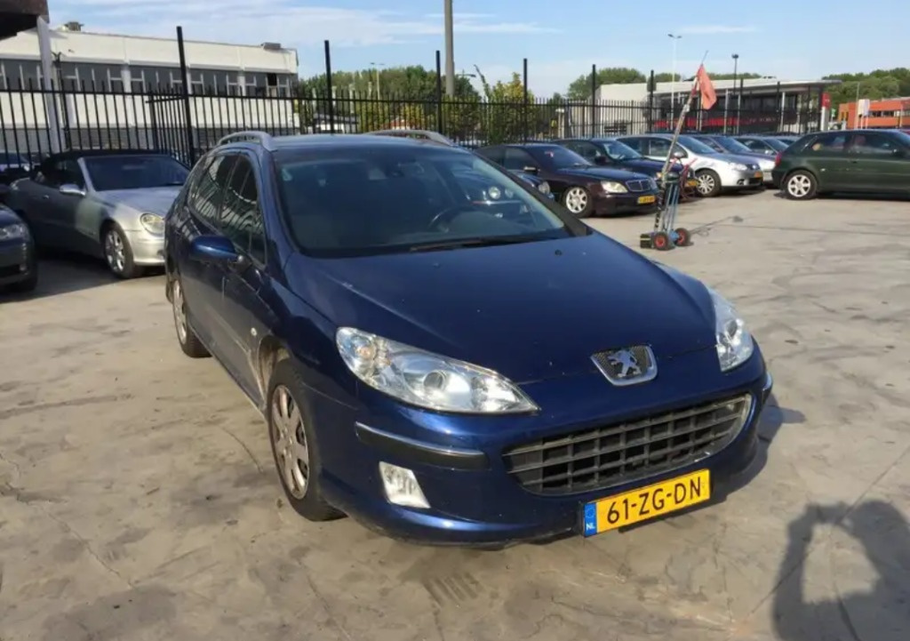 Punte spate Peugeot 407 2009 Sw Diesel