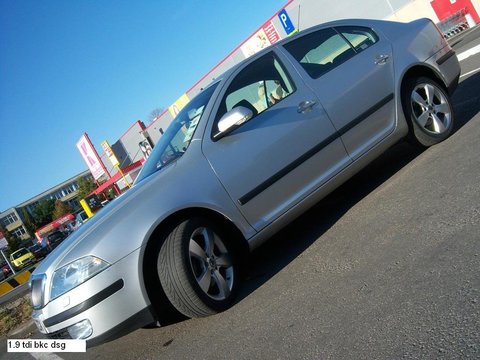 Punte Spate Skoda Octavia 2 1 9 Tdi Bkc 105 Cai