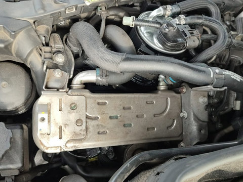 Răcitor gaze Mercedes C200 W204,2010,motor 2200 CC,136CP,euro 5,cod motor 651913,break