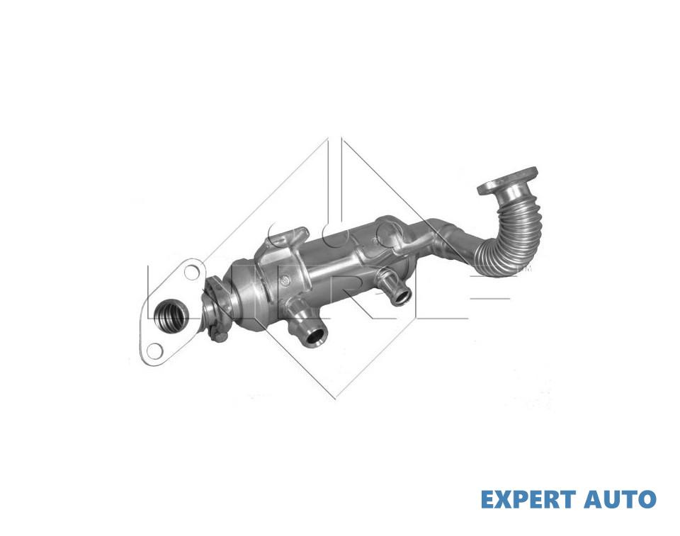 Racitor de gaze Ford C-Max (2007->) #8 1700018