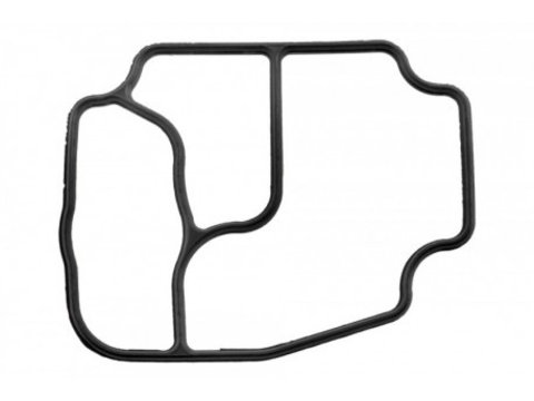 Racitor de Ulei Gasket, Bmw 3 E46 320, 323, 325, 328, 330 1998, 11421719855