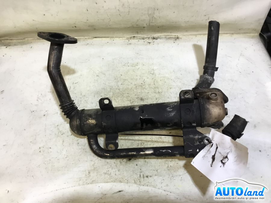 Racitor EGR 03g131512ad 1.9 TDI Bls Volkswagen JETTA III 1K2 2005-2010