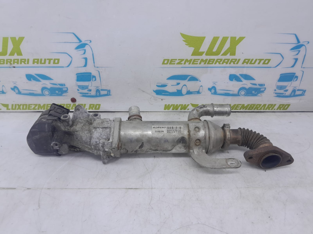Racitor gaze cu egr 2.0 hdi euro 5 RHF 9